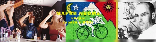 ГАЛЛЮЦИНОГЕННЫЕ ГРИБЫ Арсеньев