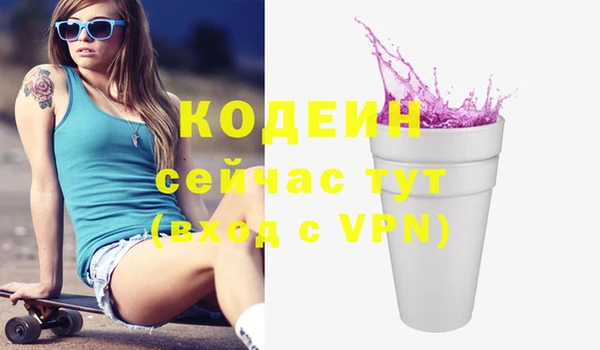 ГАЛЛЮЦИНОГЕННЫЕ ГРИБЫ Арсеньев