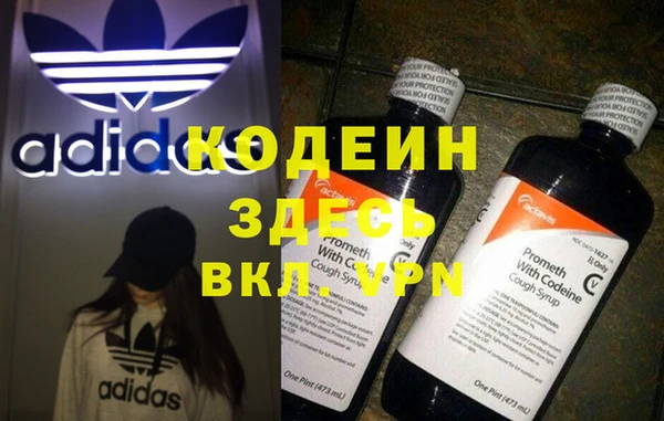 ГАЛЛЮЦИНОГЕННЫЕ ГРИБЫ Арсеньев