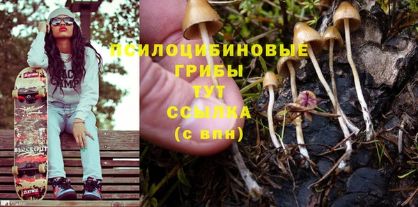 mdpv Балахна